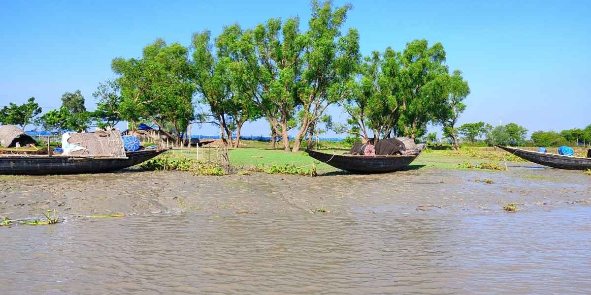 Sundarban 1 night 2 days Day 2 Sundarban