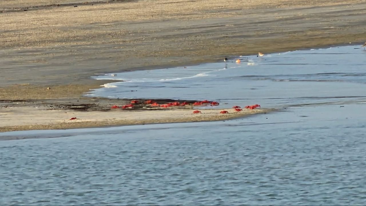 Sundarban package list Sundarban 1 Night 2 Days Tour