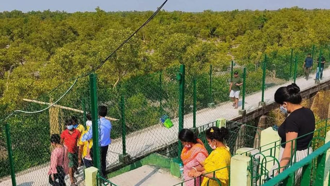 Sundarban package list Sundarban 2 Nights 3 Days Tour